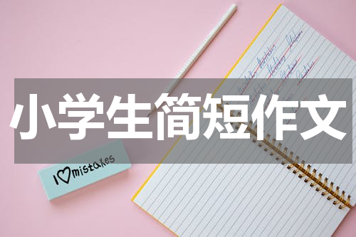 小学生简短作文