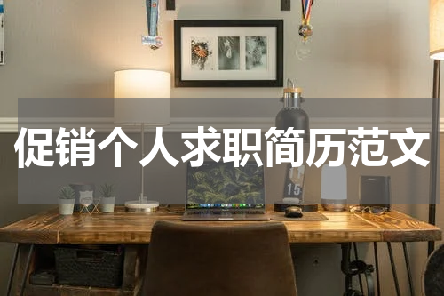 促销个人求职简历范文