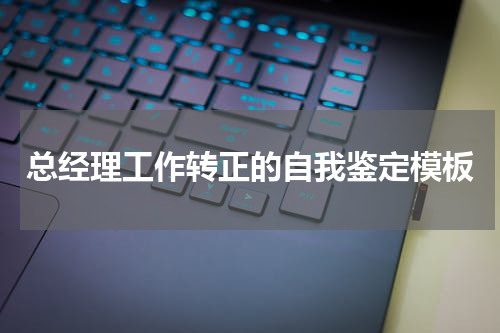 总经理工作转正的自我鉴定模板