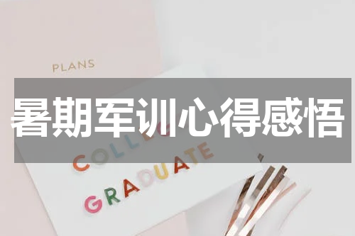 暑期军训心得感悟