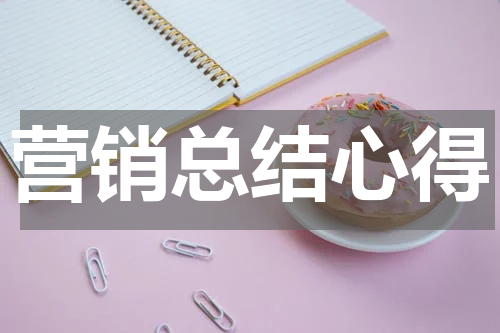 营销总结心得