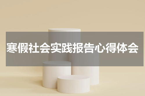 寒假社会实践报告心得体会