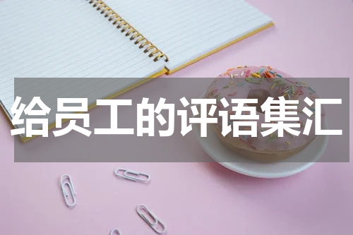 给员工的评语集汇