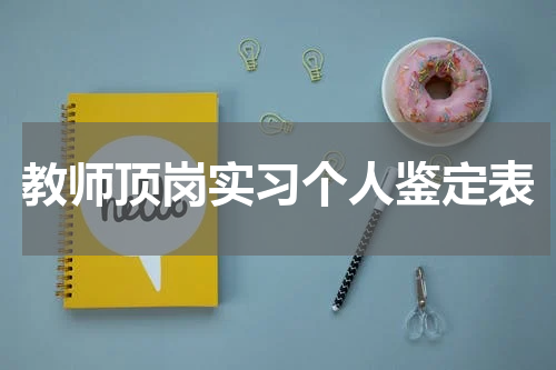 教师顶岗实习个人鉴定表