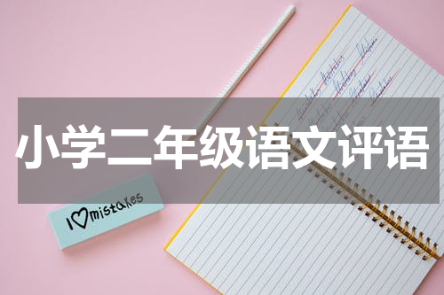 小学二年级语文评语