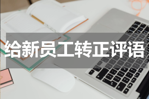 给新员工转正评语