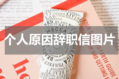 个人原因辞职信图片