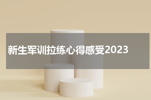 新生军训拉练心得感受2023