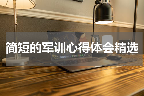 简短的军训心得体会精选
