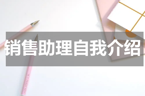 销售助理自我介绍