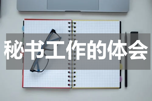 秘书工作的体会