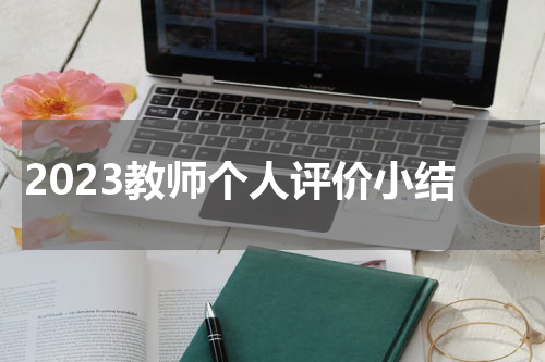 2023教师个人评价小结