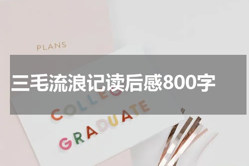 三毛流浪记读后感800字