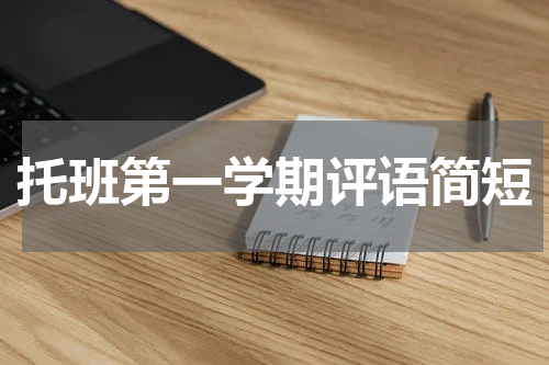 托班第一学期评语简短