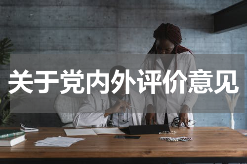 关于党内外评价意见