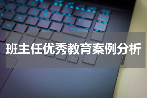 班主任优秀教育案例分析