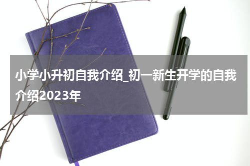 小学小升初自我介绍_初一新生开学的自我介绍2023年
