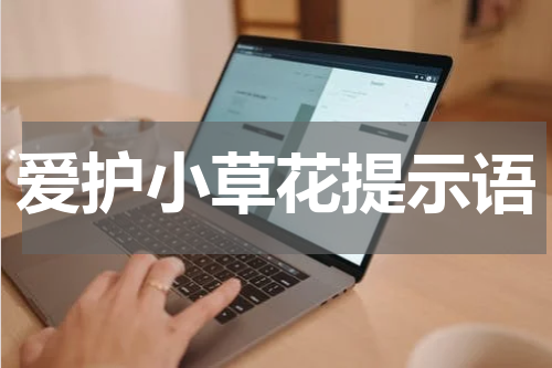 爱护小草花提示语