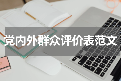 党内外群众评价表范文