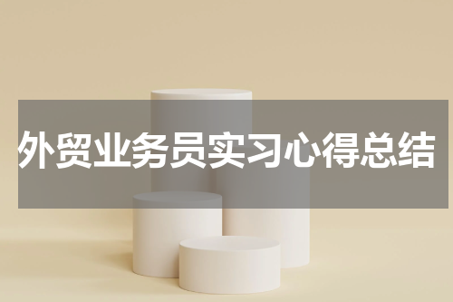 外贸业务员实习心得总结