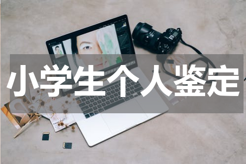 小学生个人鉴定