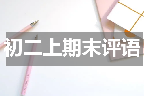 初二上期末评语