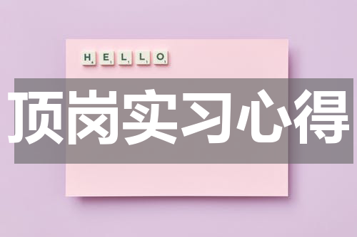 顶岗实习心得