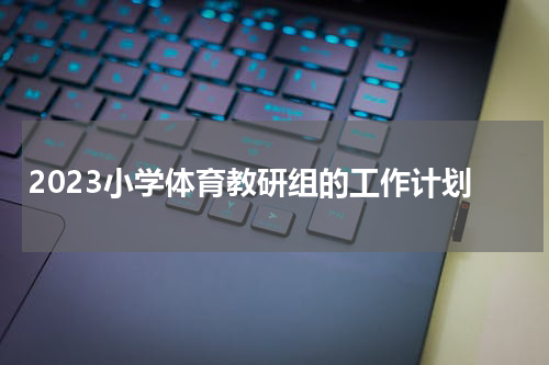 2023小学体育教研组的工作计划