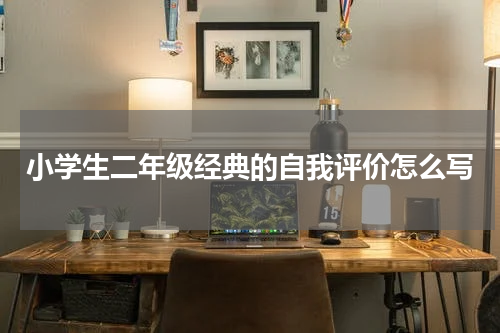 小学生二年级经典的自我评价怎么写