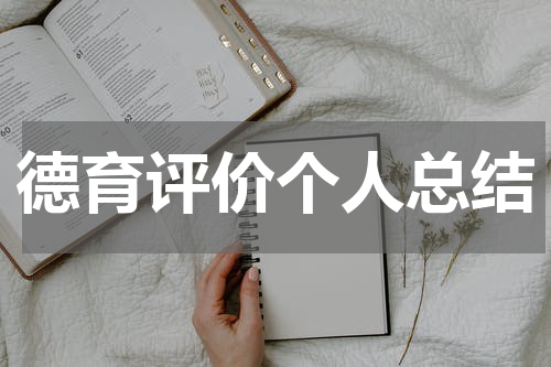 德育评价个人总结