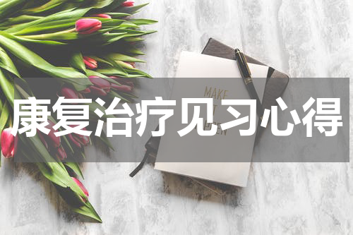 康复治疗见习心得