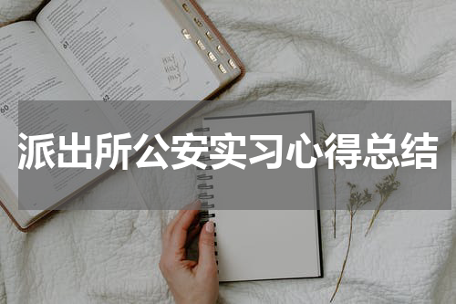 派出所公安实习心得总结