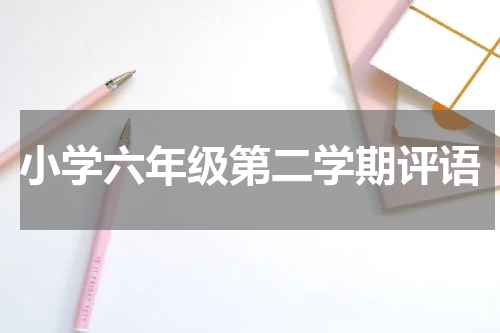 小学六年级第二学期评语