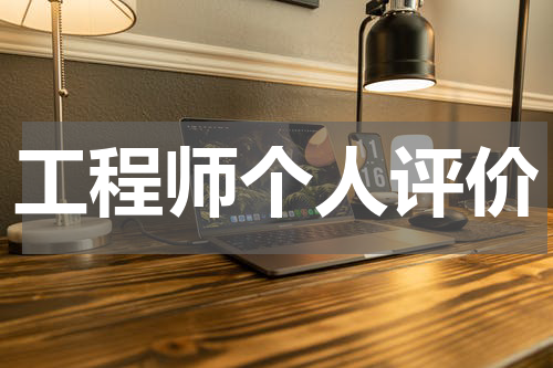 工程师个人评价