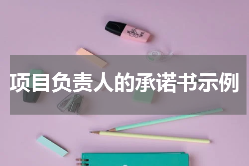 项目负责人的承诺书示例