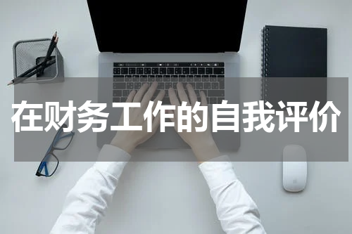 在财务工作的自我评价