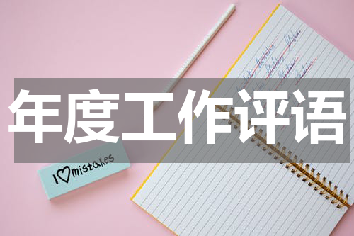 年度工作评语