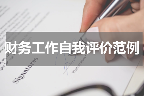 财务工作自我评价范例
