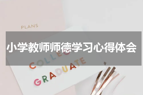 小学教师师德学习心得体会