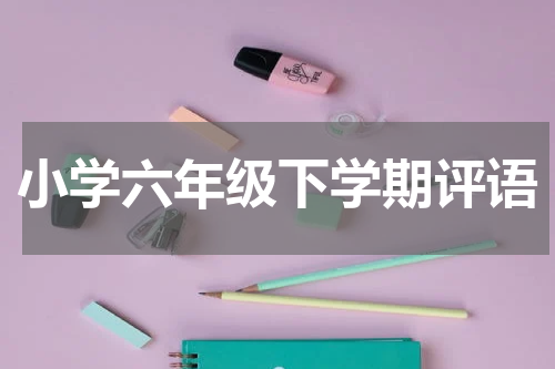 小学六年级下学期评语