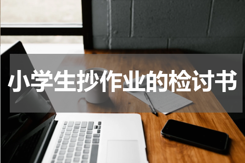 小学生抄作业的检讨书