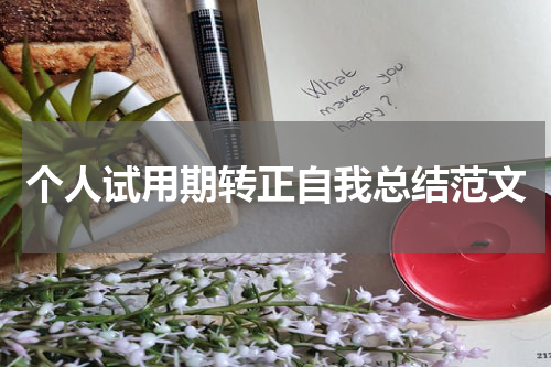 个人试用期转正自我总结范文
