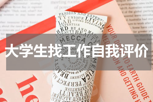 大学生找工作自我评价