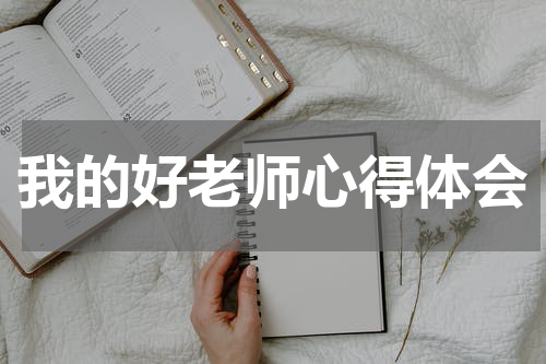 我的好老师心得体会