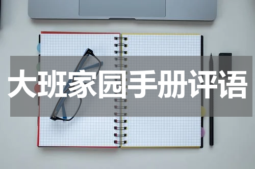 大班家园手册评语