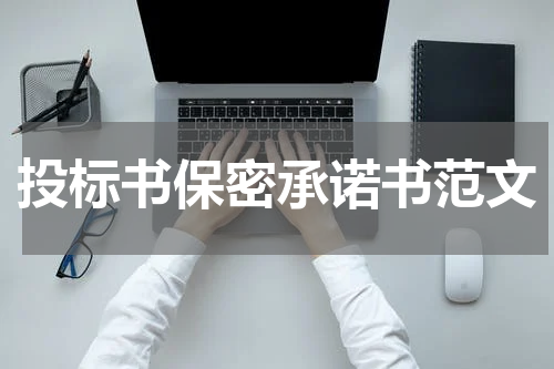投标书保密承诺书范文