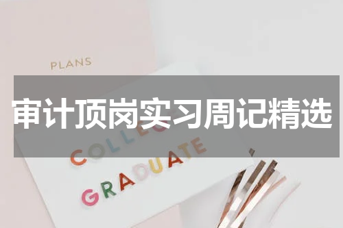 审计顶岗实习周记精选