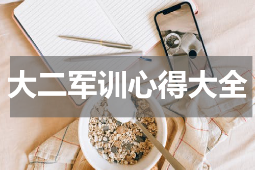 大二军训心得大全