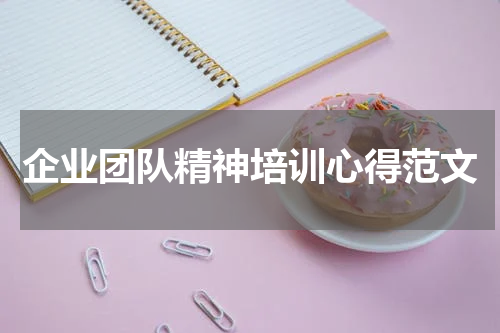 企业团队精神培训心得范文