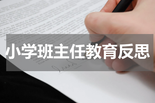 小学班主任教育反思